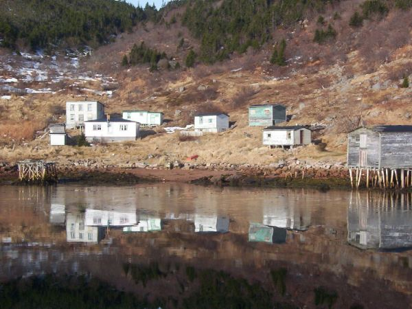 612: Red Island harbour. (2003) [courtesy of Stephen Mulrooney]